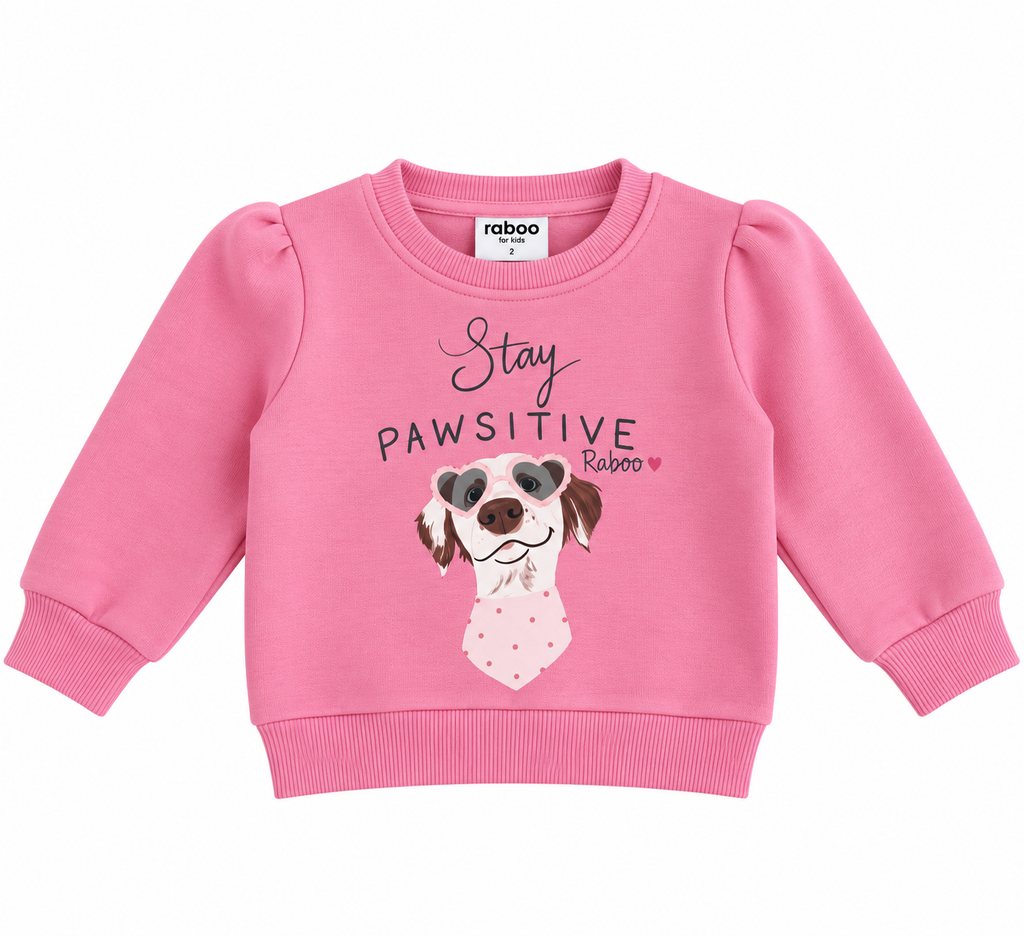 Raboo Σετ Pawsitive