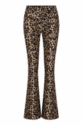 Leopard Κολάν Καμπάνα